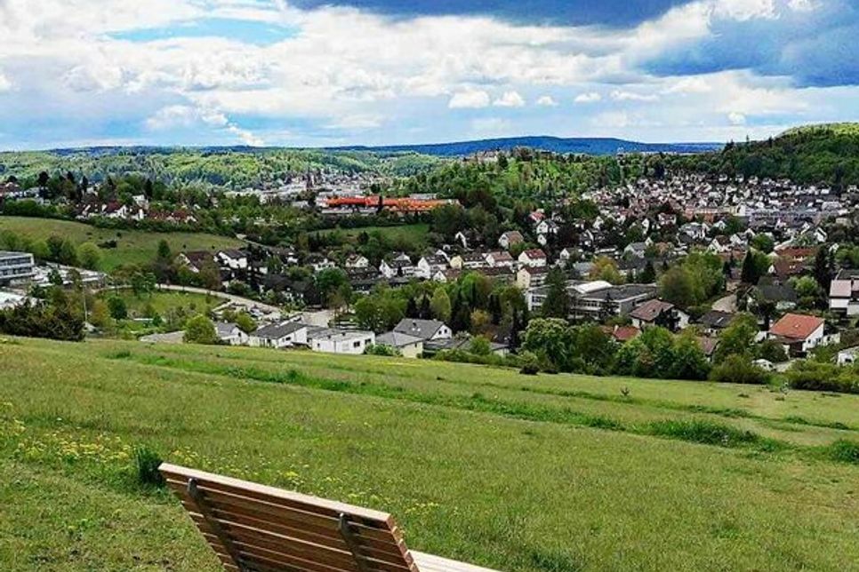 Insgesamt sieben Albliegen werden rund um Heidenheim aufgestellt.