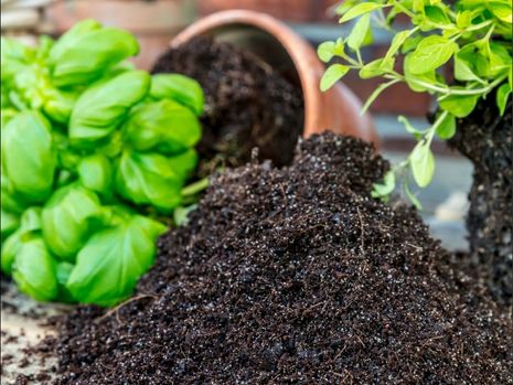 FRISCHE WÜRZE VOM BALKON: Leckere Küchenkräuter selbst ziehen ist einfach und braucht wenig Platz. Wichtig ist Spezialerde, die Staunässe entgegenwirkt, und auch beim Dünger lohnt es sich, die besonderen Bedürfnisse der würzigen Kräuter zu berücksichtigen.