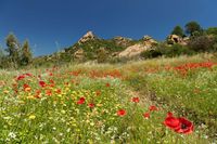 Lassen Sie sich von der Vielfalt und Schönheit Sardiniens begeistern.