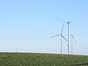 Windkraft nicht auf Kosten der Natur