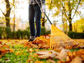 NÜTZLICHE BIOMASSE: Herbstlaub lässt sich als Winterversteck für Tiere, als natürlicher Frostschutz für Pflanzen oder zur ökologischen Flächenkompostierung nutzen.