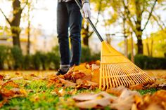 NÜTZLICHE BIOMASSE: Herbstlaub lässt sich als Winterversteck für Tiere, als natürlicher Frostschutz für Pflanzen oder zur ökologischen Flächenkompostierung nutzen.