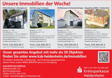 Immobilienaktion