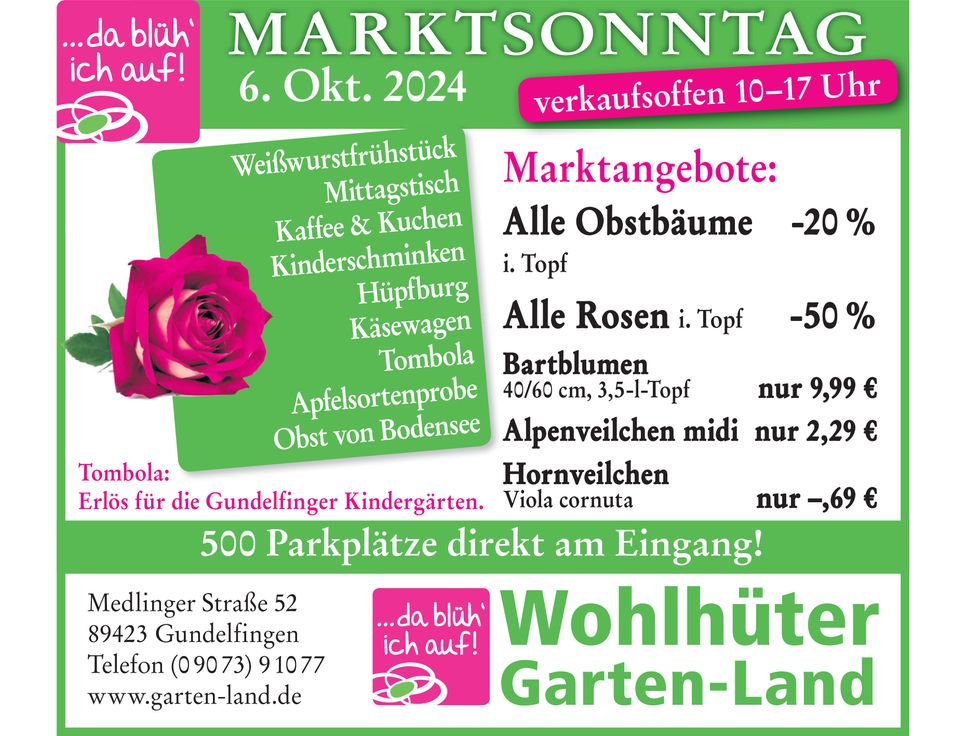 Angebote für Marktsonntag